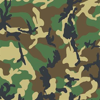 PP91C_Army-Camo_267577.jpg