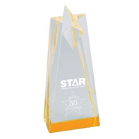 Sculpted-Star-Acrylic-Award-8-